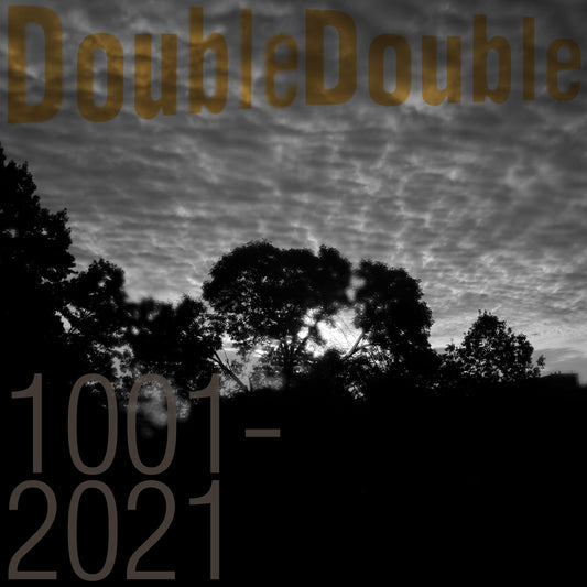 1001-2021