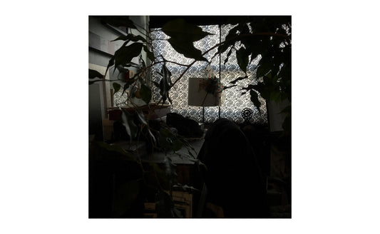 Journal: The Study with three windows (2017-2018)