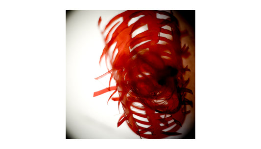 Journal: The gallery is an open tuning love song (2018)