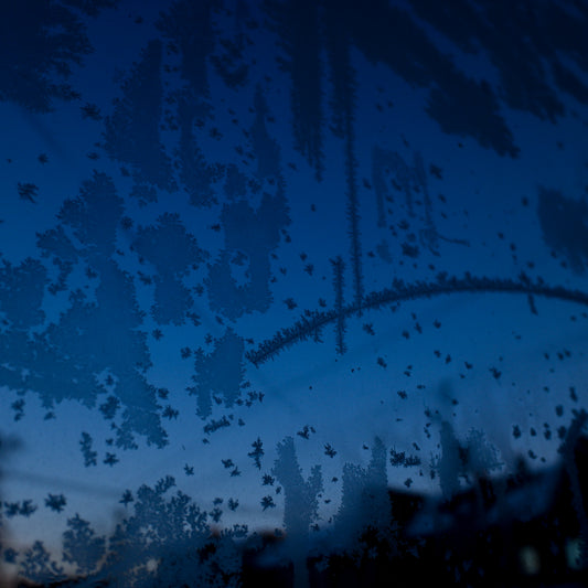 January 30, 2019 (snowflake)