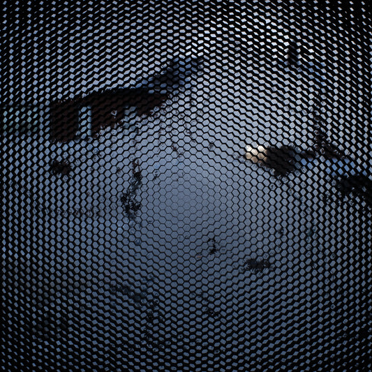 January 30, 2019 (honeycomb)