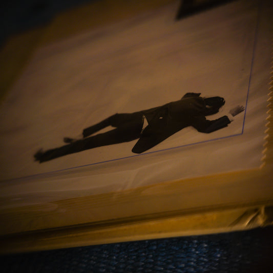 February 9, 2019 (faking death)