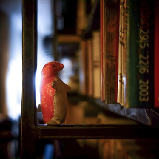 February 20, 2019 (penguin)