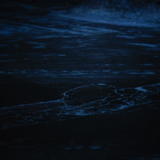 February 24, 2019 (storm night)