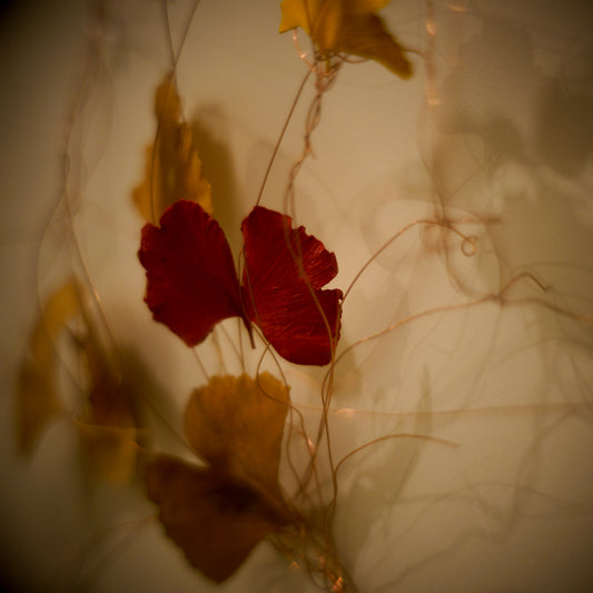 March 15, 2019 (ginkgo, Malgorzata Wolak Dault)