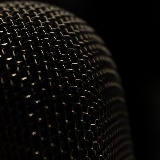 March 29, 2019 (microphone)