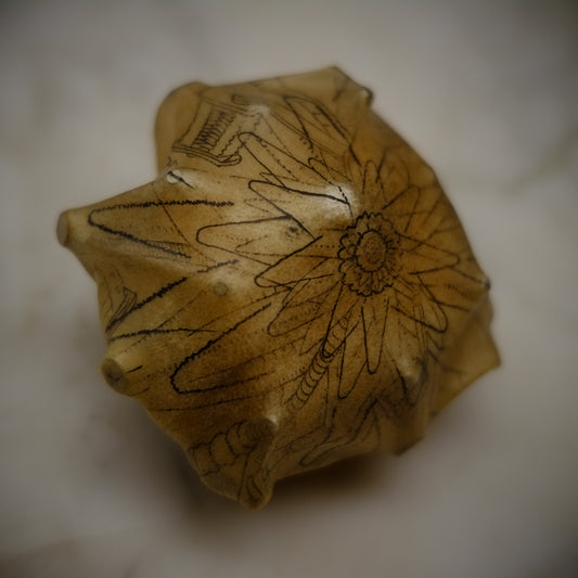 (29) Chai