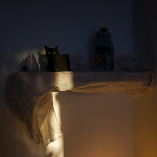 October 6, 2019 (Kedi, Kai)