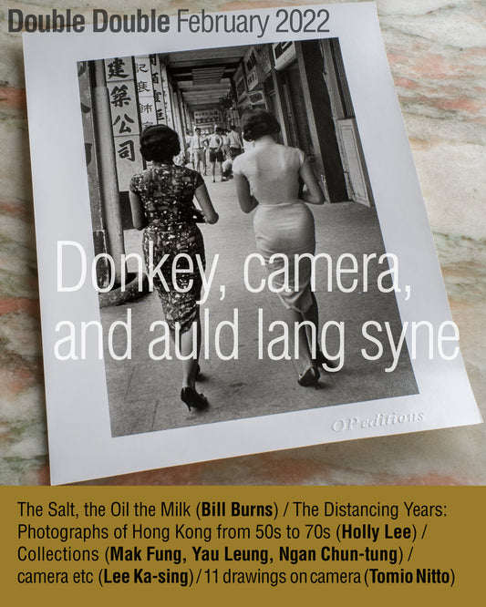 Donkey, camera, and auld lang syne