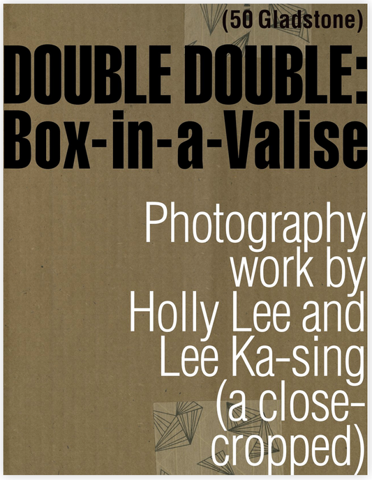DOUBLE DOUBLE: Box-in-a-Valise (a close-cropped)