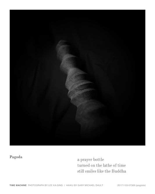 20171103-07389 (pagoda)