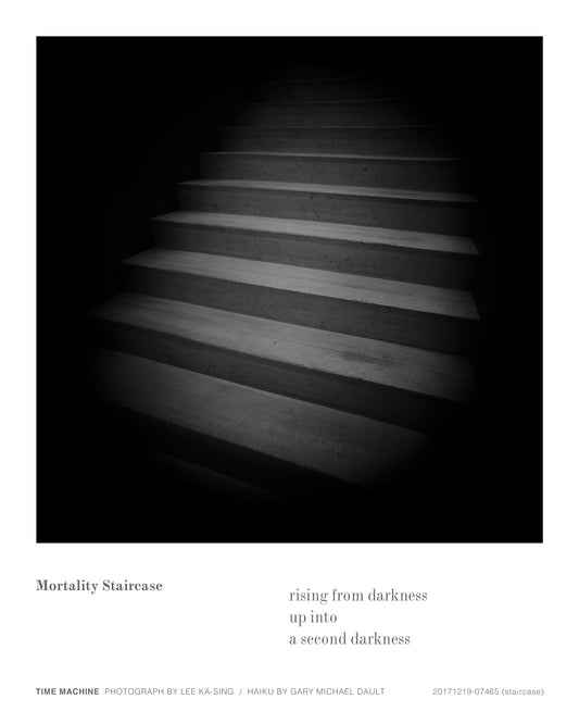 20171219-07465 (staircase)