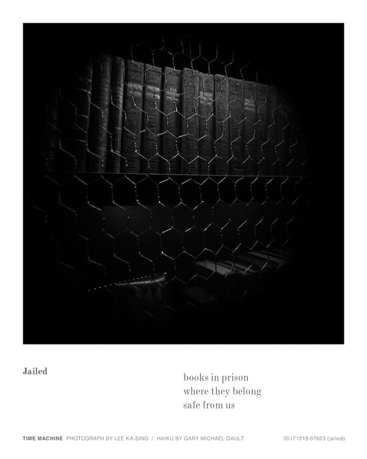 20171219-07623 (jailed)