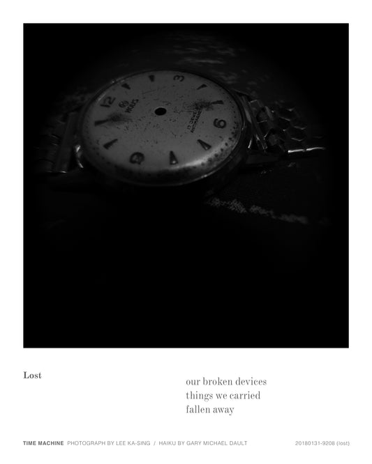 20180131-9208 (lost)