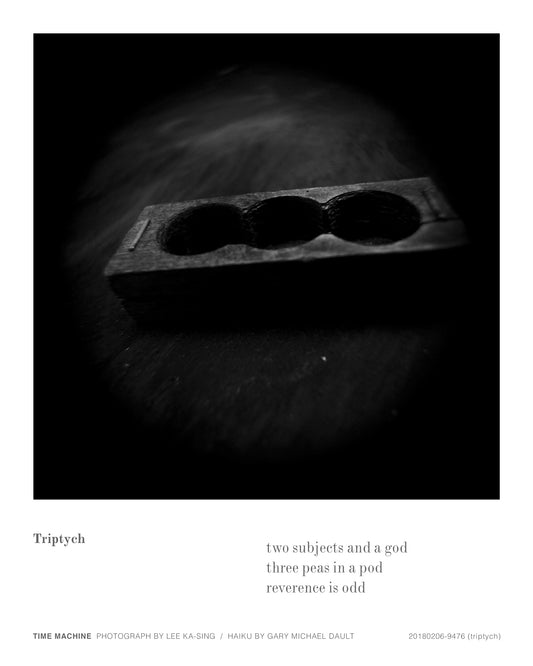 20180206-9476 (triptych)
