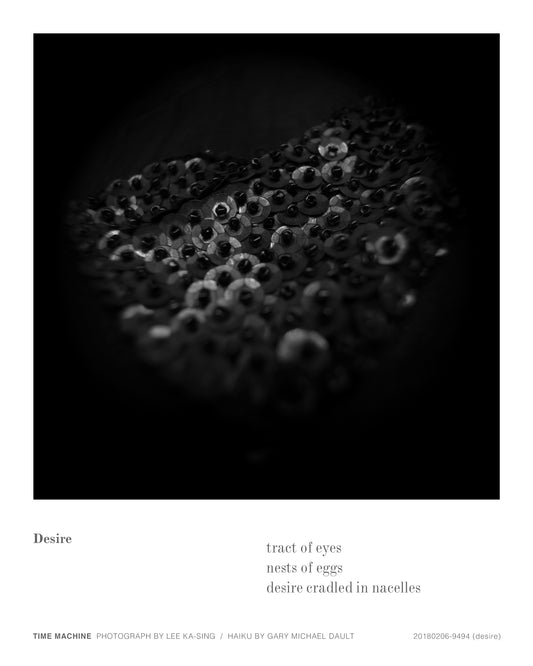 20180206-9494 (desire)