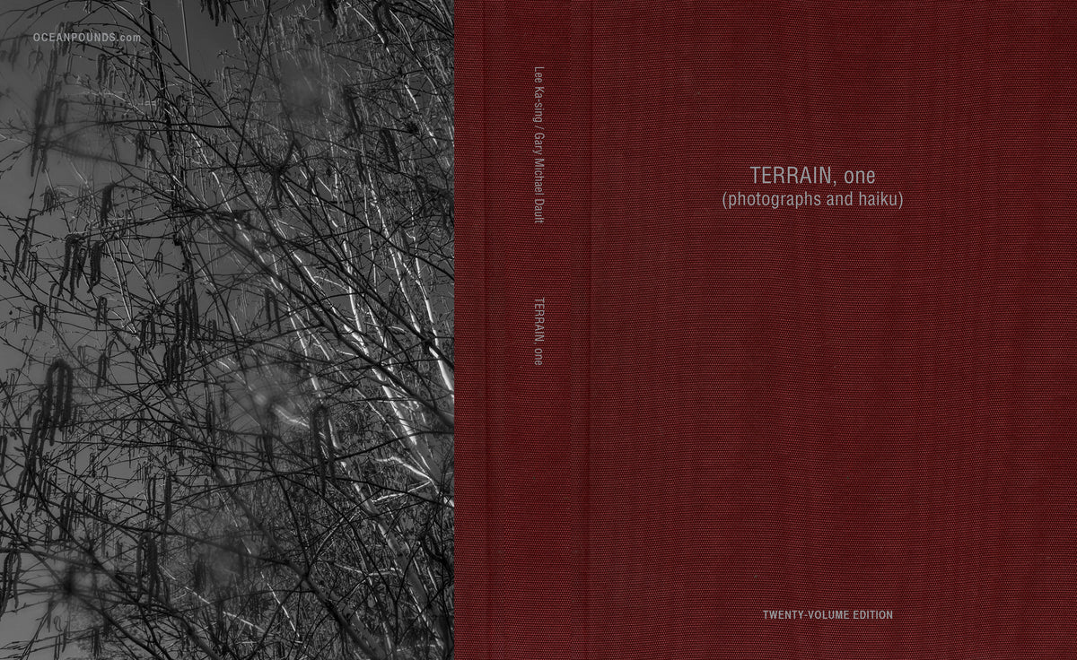 TERRAIN, One (Twenty-Volume Edition)