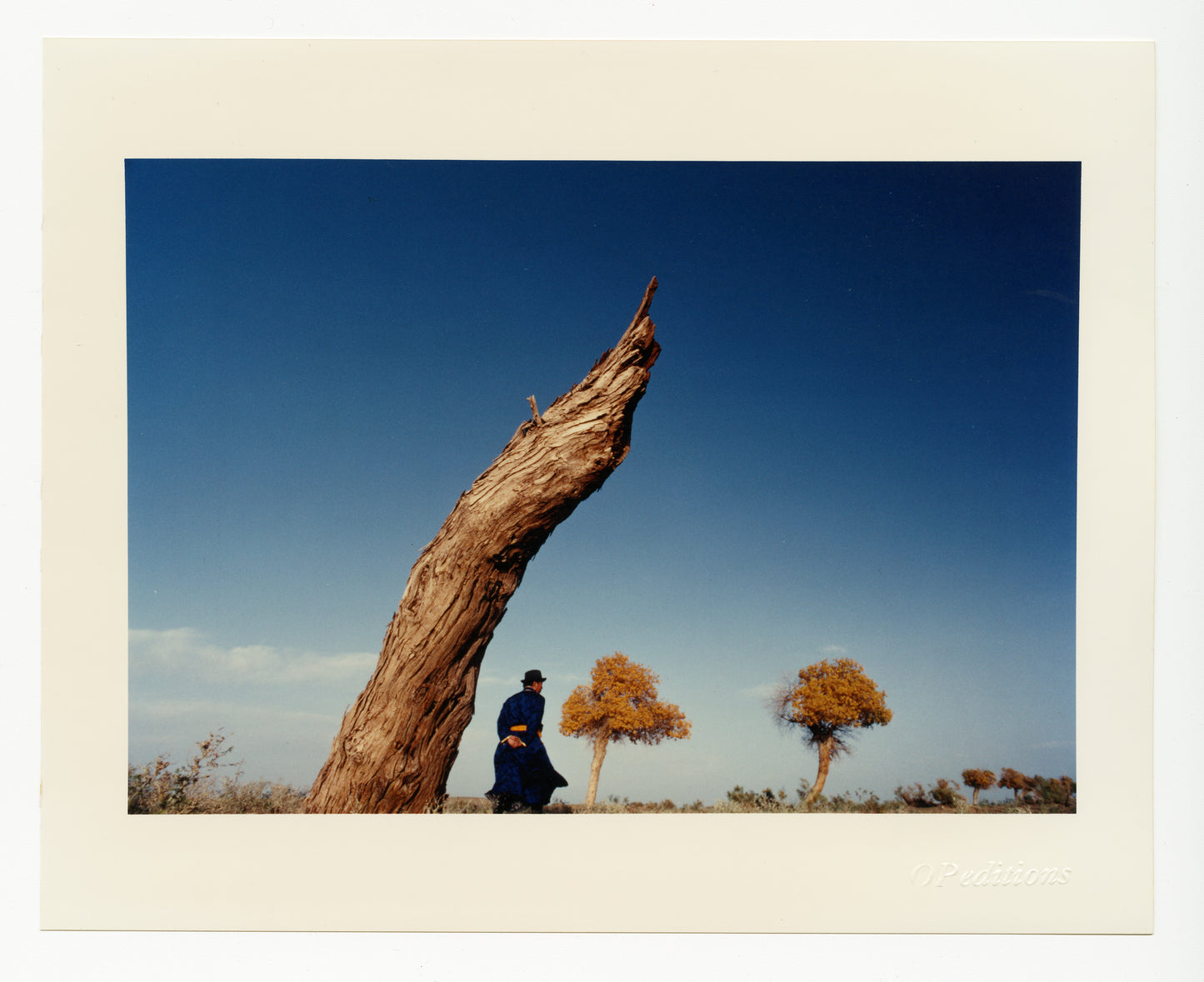 (Wang Miao) untitled