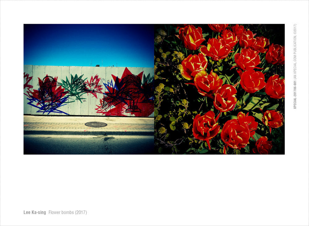 Lee Ka-sing - Flower bombs