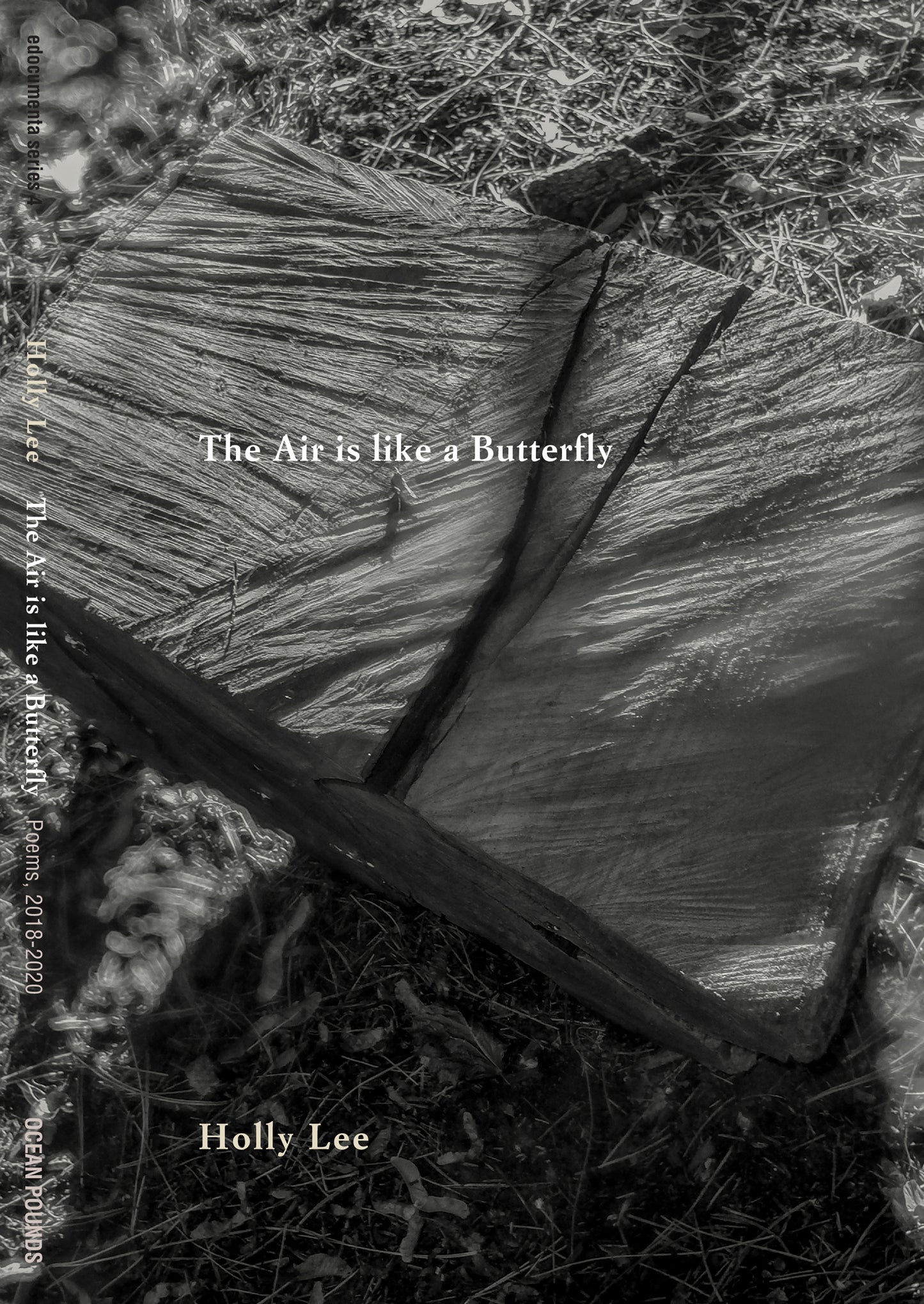 The Air is Like a Butterfly