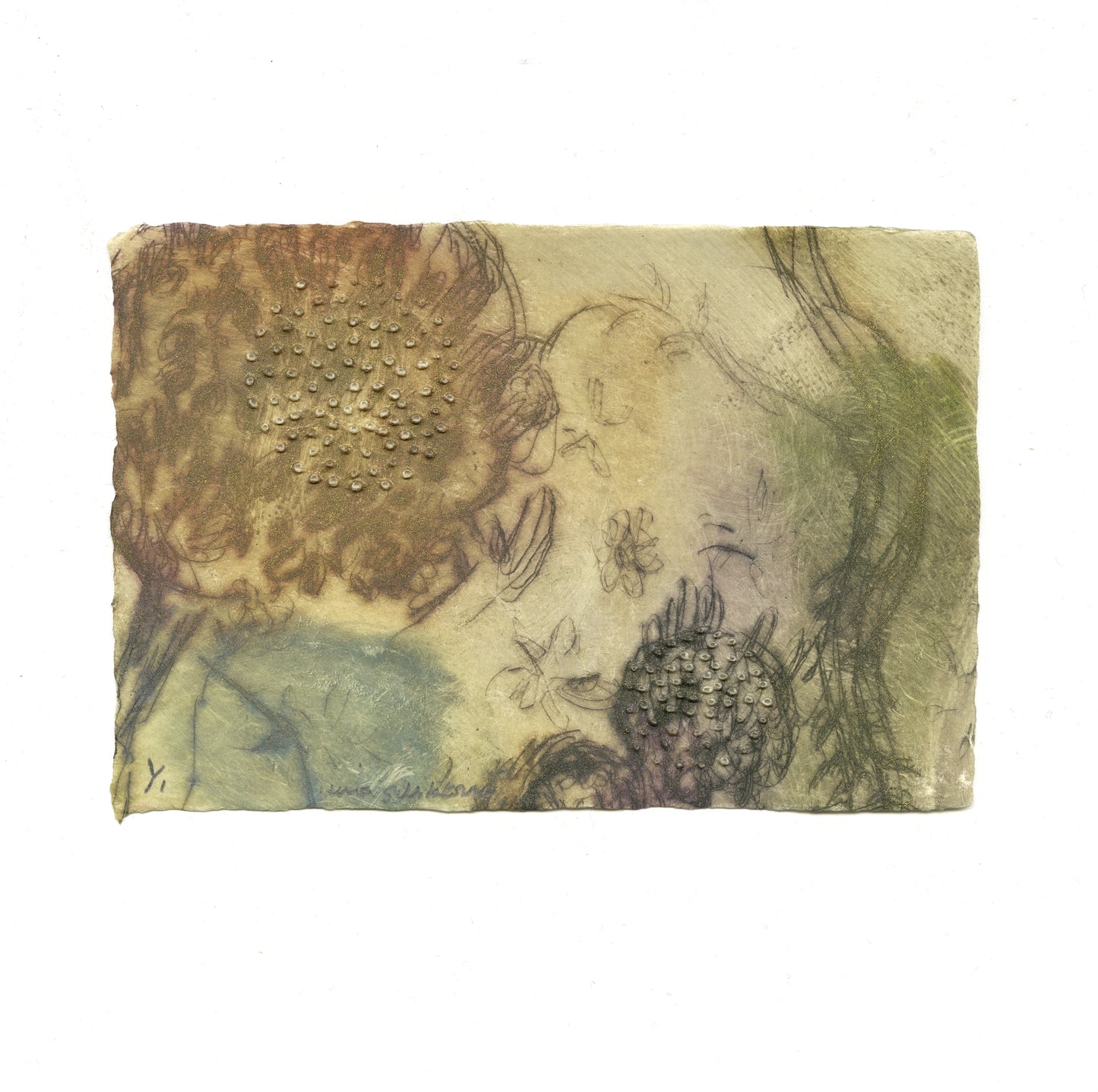 Irina Schestakowich - (Sunflower) #1