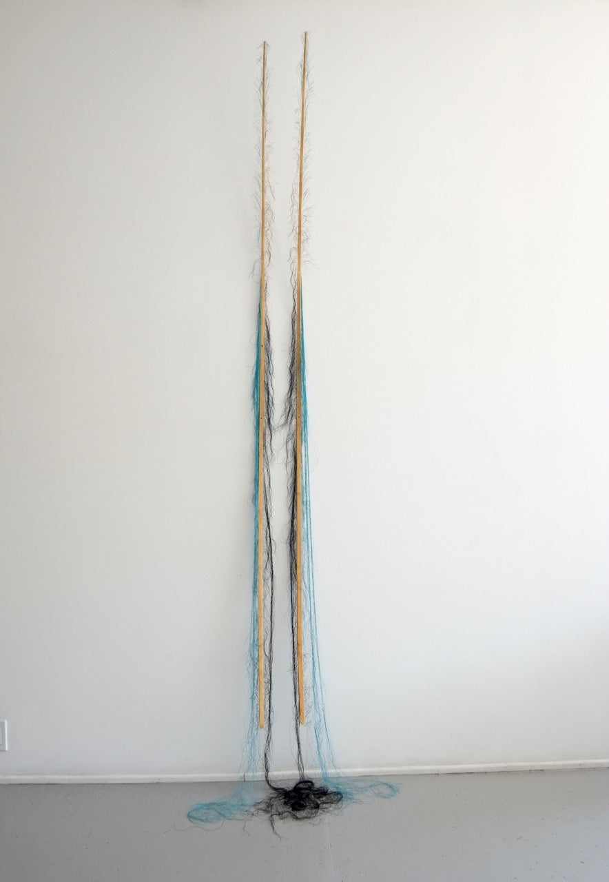 Twins, 2012