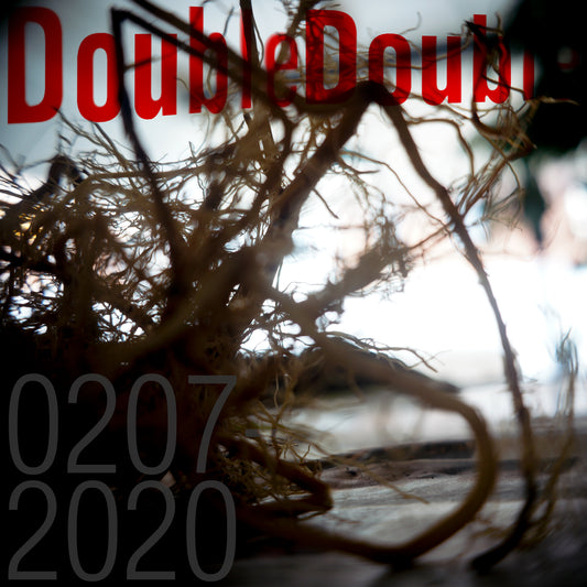 0207-2020