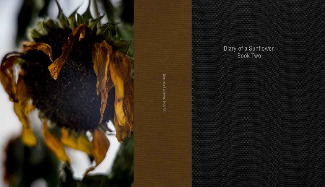 Diary of a Sunflower, Book Two (Lee Ka-sing)
