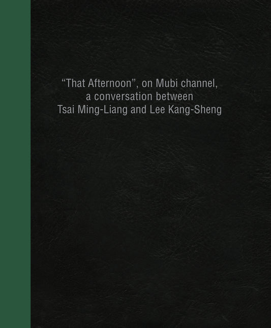 “That Afternoon”, on Mubi channel, a conversation between Tsai Ming-Liang and Lee Kang-Sheng