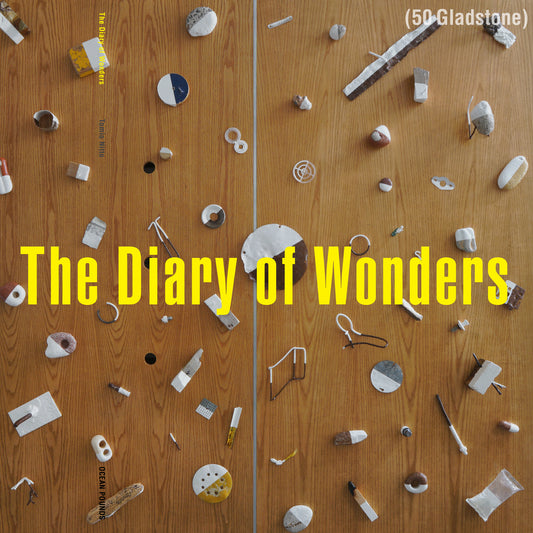 "The Diary of Wonders" by Tomio Nitto