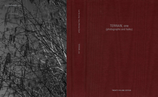 TERRAIN, One (Twenty-Volume Edition)