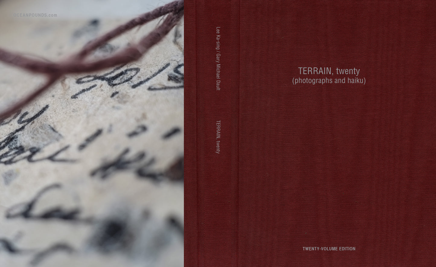 TERRAIN, Twenty (Twenty-Volume Edition)