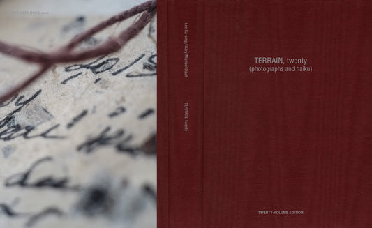 TERRAIN, Twenty (Twenty-Volume Edition)