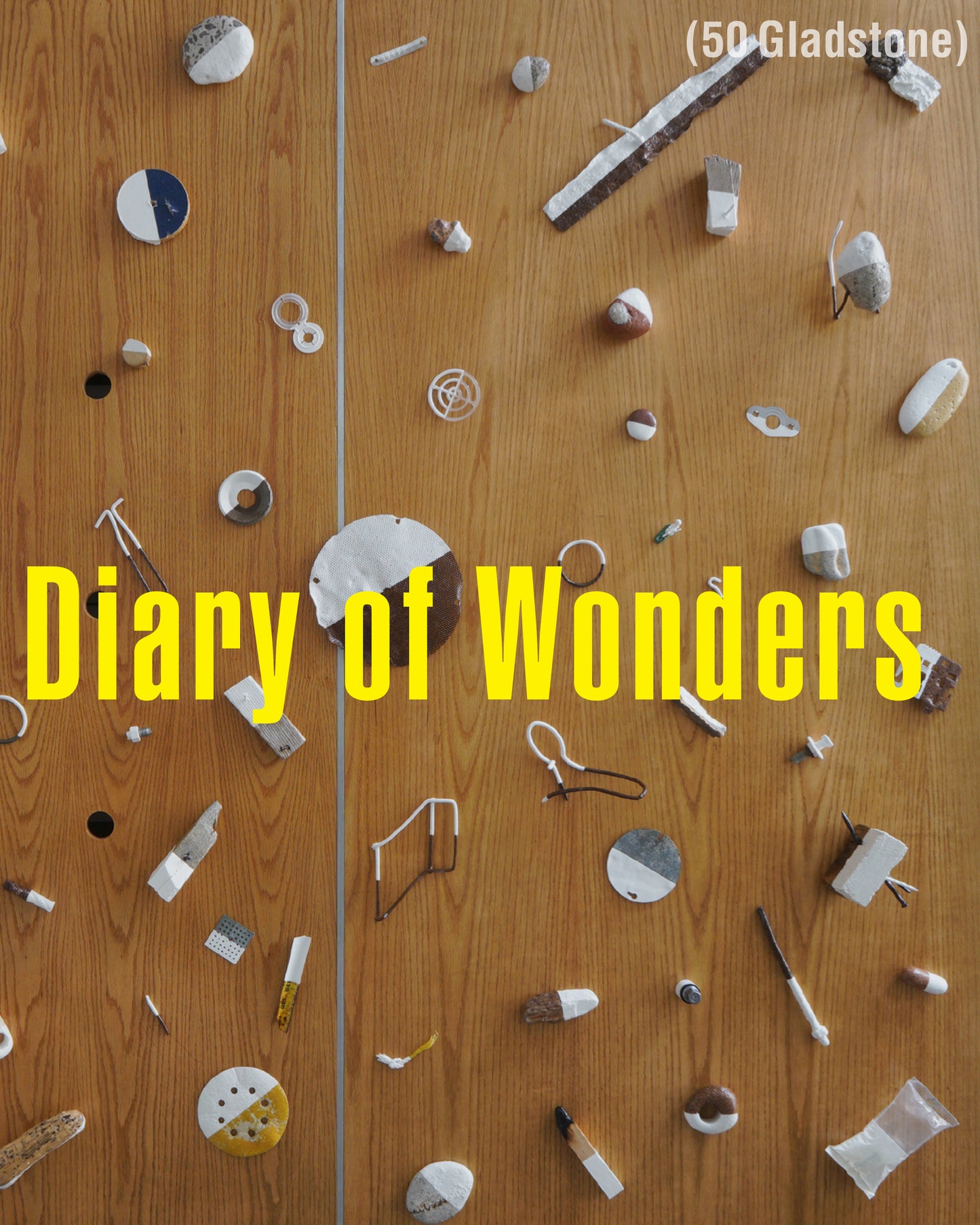 The Diary of Wonders by Tomio Nitto