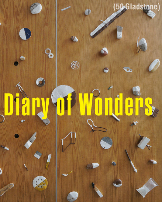 The Diary of Wonders by Tomio Nitto