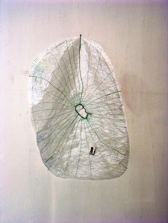 Study (Spider Web)  2003