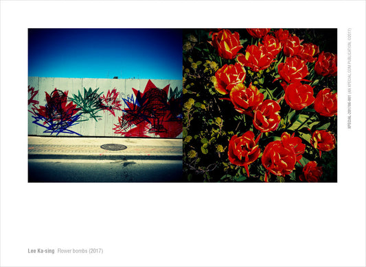 Lee Ka-sing - Flower bombs