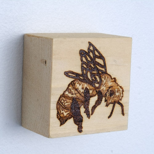 Erin Shadoff - Honey Bee