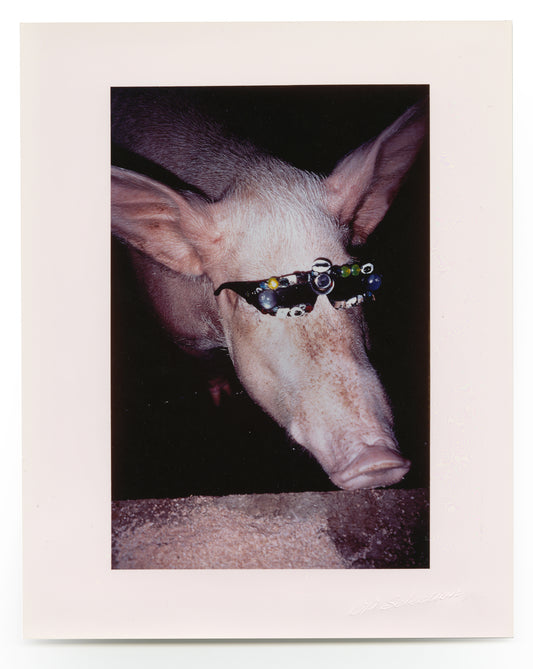 Froggy Sunglasses Project (Pig)