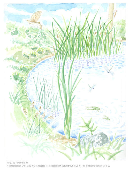 POND special edition