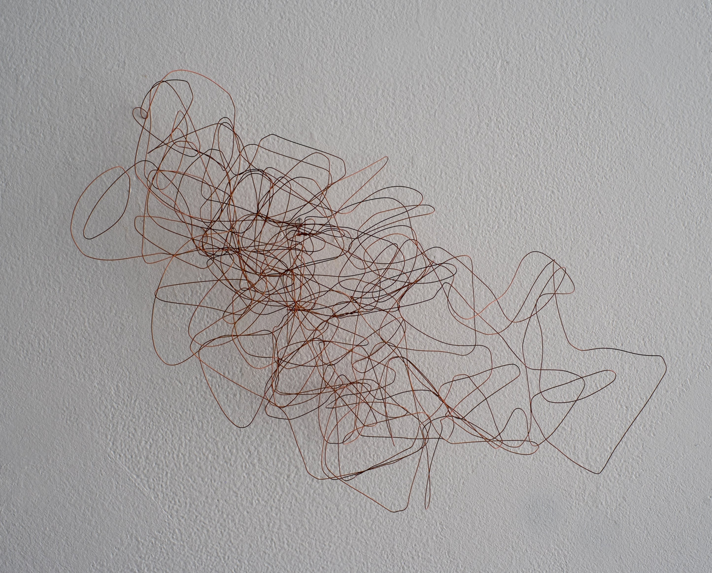 Sketch with Wire #1 by Kai Chan